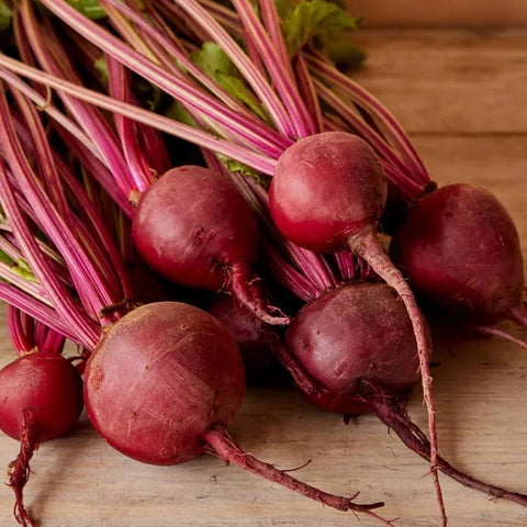Detroit Dark Red Beet Seed Pack 60197
