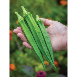 Okra Go Big