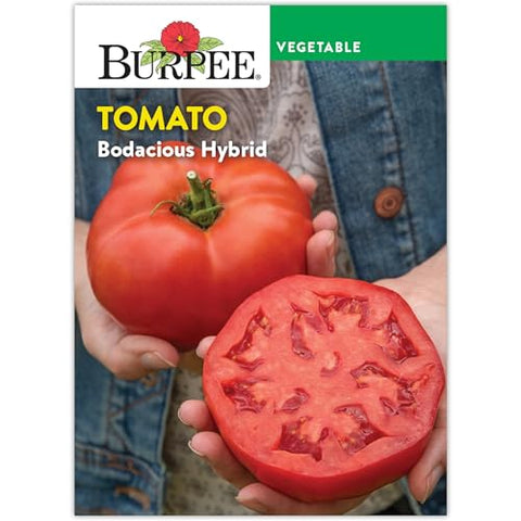 Bodacious Hybrid Tomato Seed Pack 62766