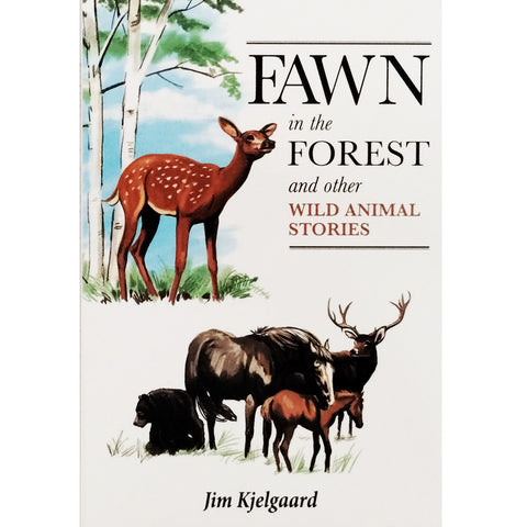 Fawn in the Forest 65741