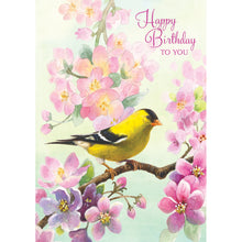 Boxed Cards Birthday Cheer 658-00765-000