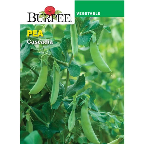 Heirloom Cascadia Pea Seed Pack 68051