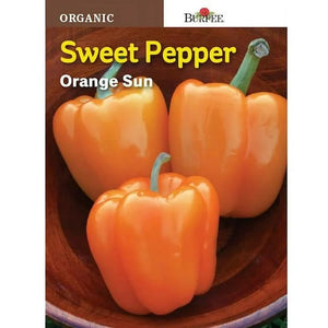 Orange Sun Sweet Pepper Seed Pack 67375