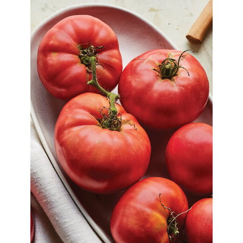 Tomato Delicious