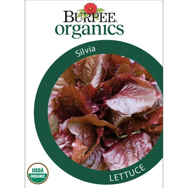 Organic Silvia Lettuce Seed Pack 68420