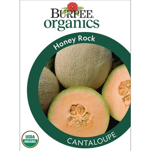 Organic Honey Rock Canteloupe Seed Pack 68440