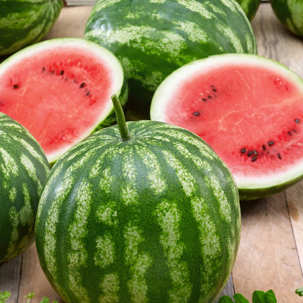 Cal Sweet Bush Watermelon