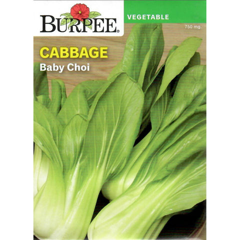 Baby Choi Cabbage Seed Pack 69627