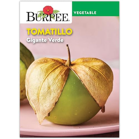 Gigante Verde Tomatillo Seeds 69665
