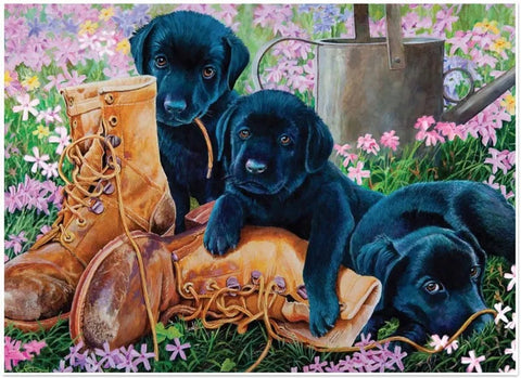 Trouble in the Garden - 500pc Jigsaw Puzzle 85017