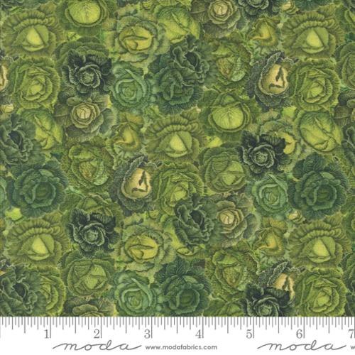 Farm and Garden Collection Lettuce Patch Cotton Fabric 7478