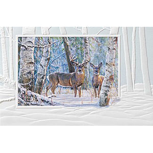 Winter's Beauty Christmas Boxed Cards 77080