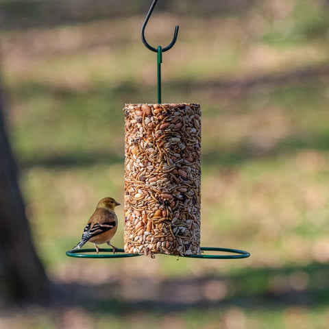 Mr. Bird Cylinder Bird Feeder in use