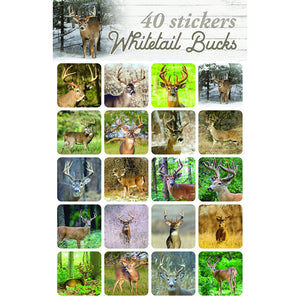 Whitetail Bucks Stickers 83789