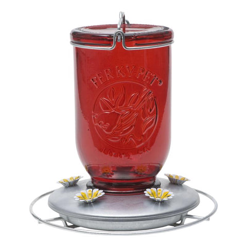 Perky-Pet Glass Mason Jar Hummingbird Feeder