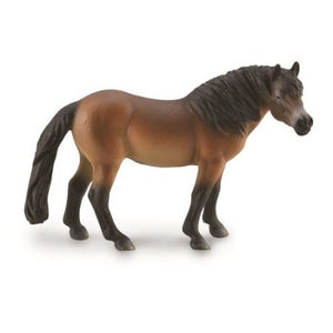 Exmoor Pony Stallion Horse 88873