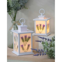 Purple Lilac LED Lantern 8LED749