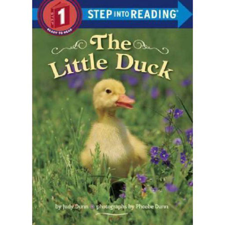 The Little Duck 9780553533521