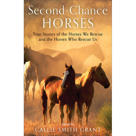 Second-Chance Horses 9780800737948
