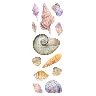 Seashells Sticker Set 344618