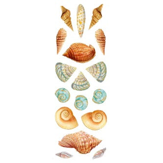 Seashells Sticker Set 344618