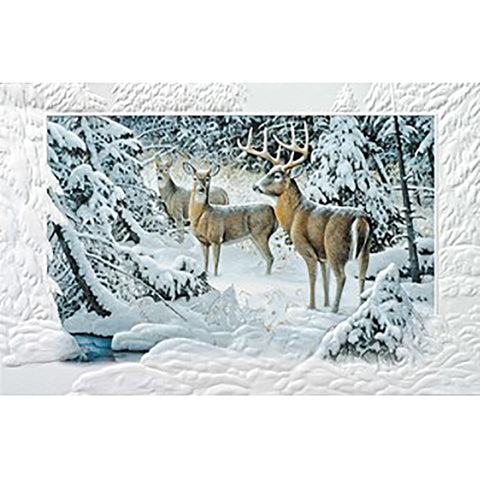 The Edge Of Light Christmas Boxed Cards 98495