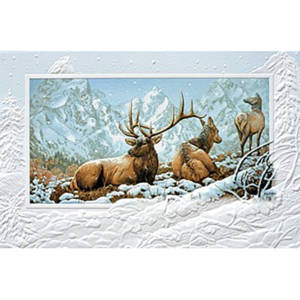 Storm Watch Christmas Boxed Cards 98544