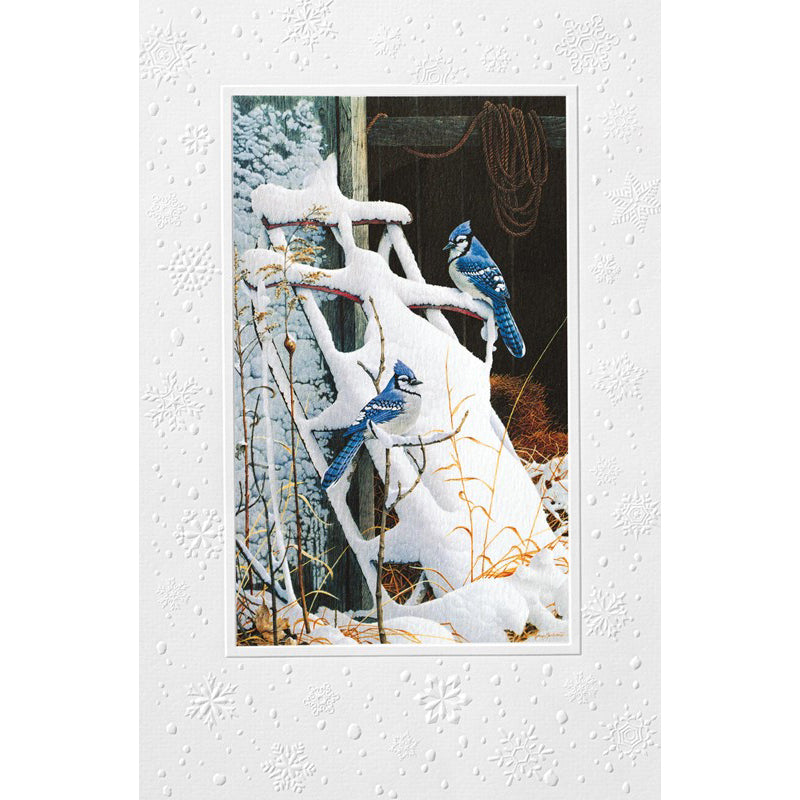 Country Flyer Christmas Boxed Cards 98963