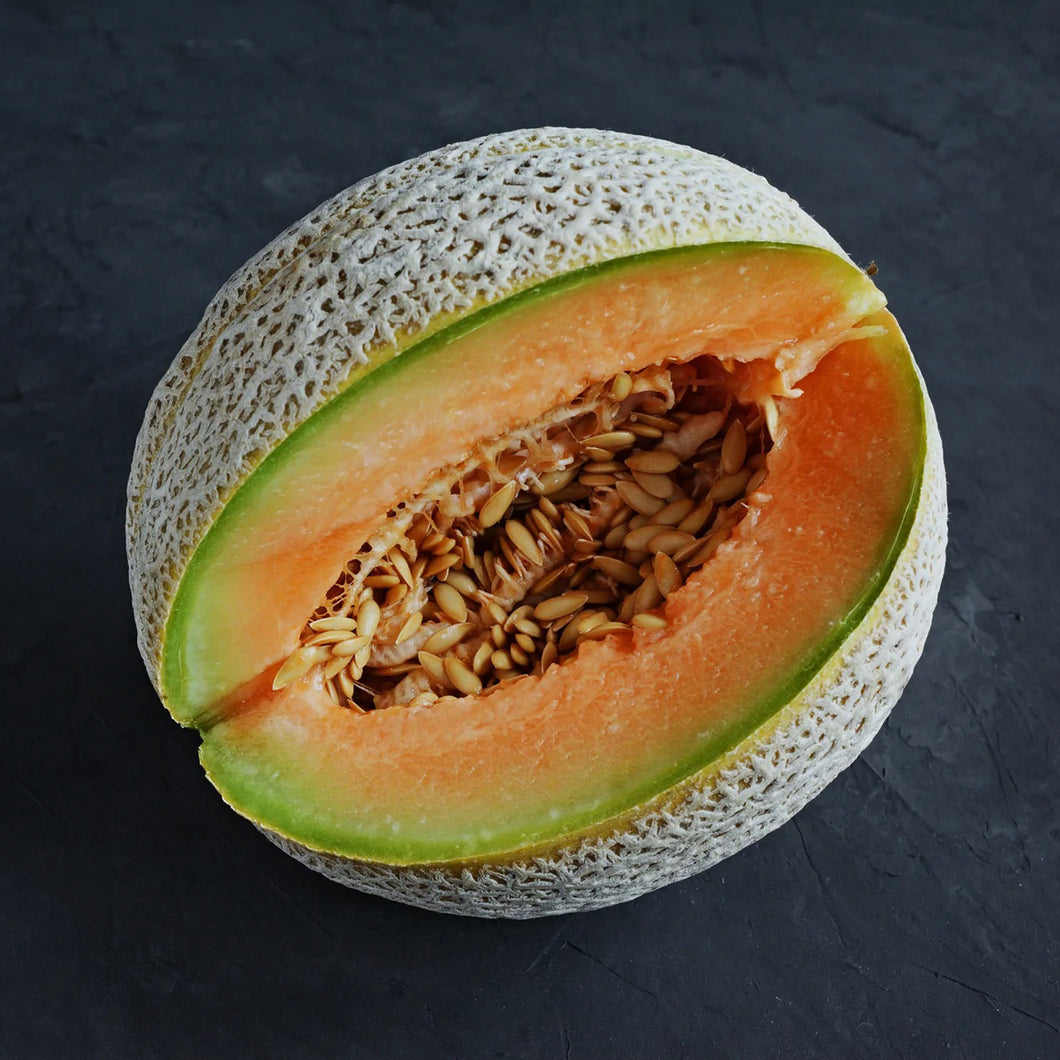 Burpee Hybrid Cantaloupe