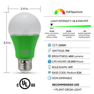 Bulb Specifications