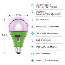 Bulb Specifications