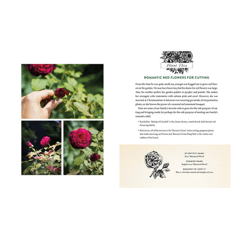 A Home in Bloom 985451 sample page