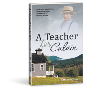 A teacher for Calvin book