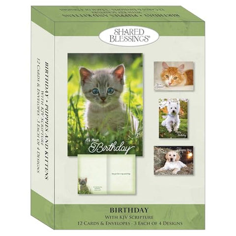 Adorable Puppies & Kittens Boxed Birthday Cards 22623