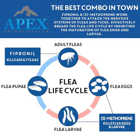 Apex Plus Flea Treatment for Cats, 1.5+ lbs � Cat Flea, Tick, Flea Eggs, Flea Larvae, and Chewing Lice Prevention for 30-Days � 3-Month Supply
