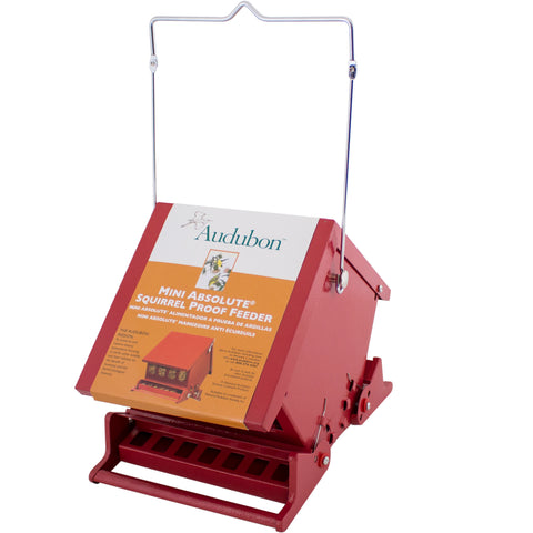 Audubon Red Mini Absolute Squirrel Proof feeder.