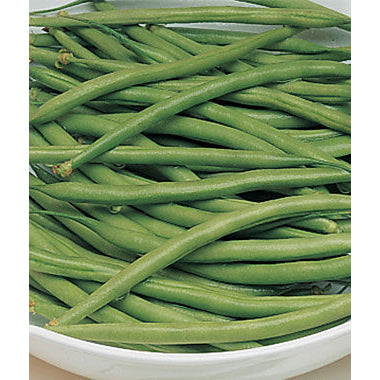 Triomphe de Farcy green beans