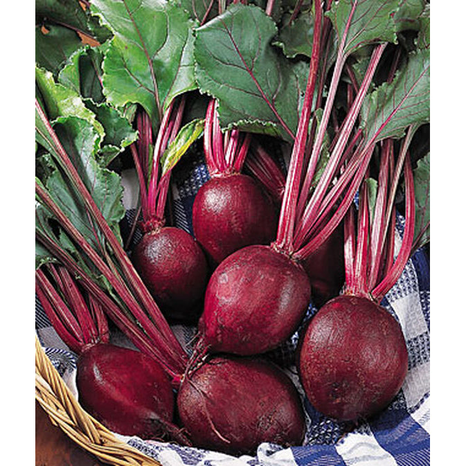 Detroit Supreme Beets