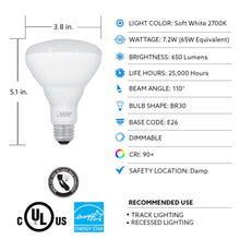 Light Bulb Details