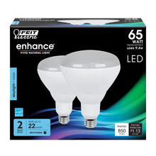 Daylight 2-Pack 65W Enhance BR40 LED Light Bulbs BR40DM/950CA/2