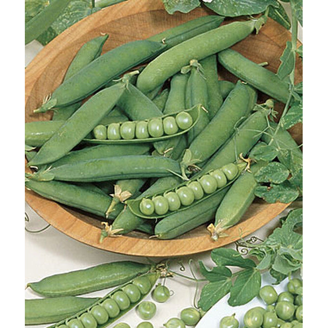 Peas 