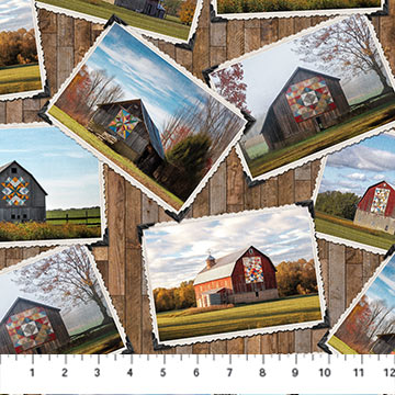 Barn Quilts Collection Photo Collage Cotton Fabric DP27315