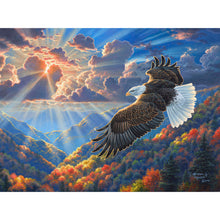 Beautiful Freedom 1000 PC Puzzle 69847 2