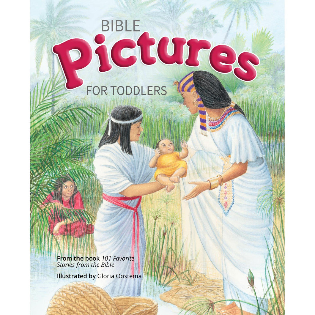 Bible Storybook for children