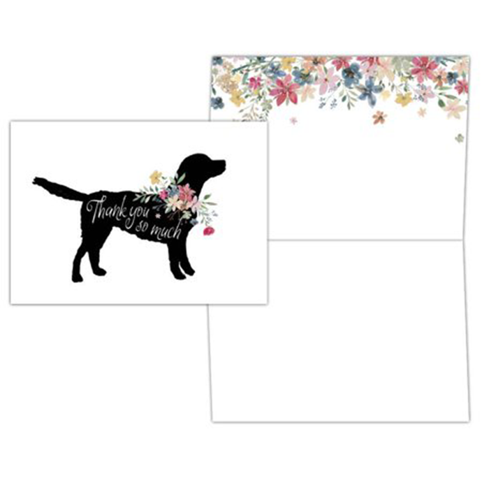 Black Lab 15 Boxed Note Cards & Envelopes FNC91657 