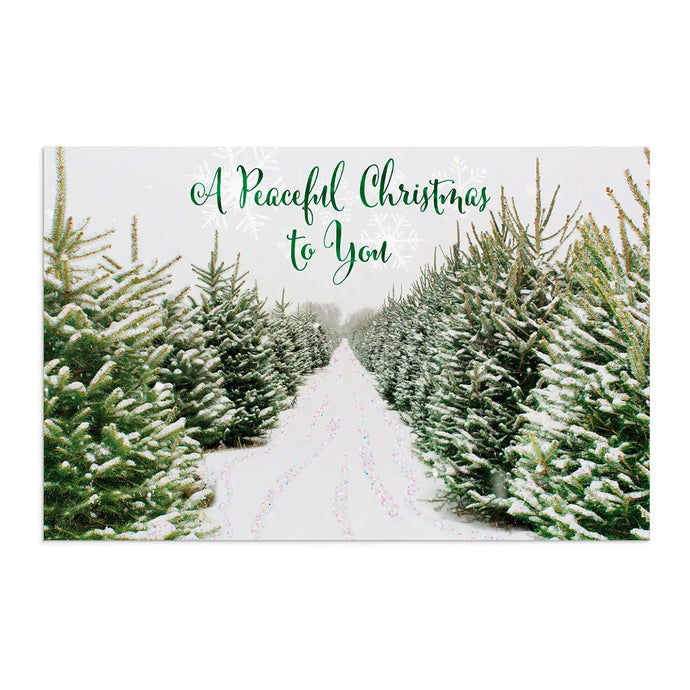 Boxed Christmas Cards Peaceful Christmas J8848