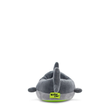 Boys' Shark Slipper- Gray 24378676 D