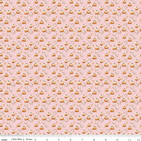 blush, Harvest on the Prairie Collection Pumpkin Cotton Fabric C18289