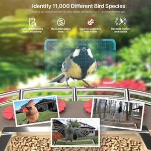 Identify 11000 Different Bird Species