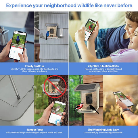 Experience Your Neighborhood Wildlife Like Never Before